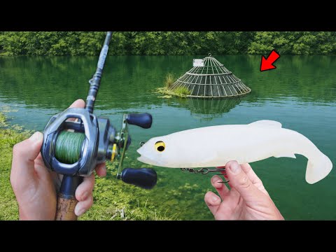 Fishing BIG SWIMBAITS For GIANT Hidden Pond Bass!