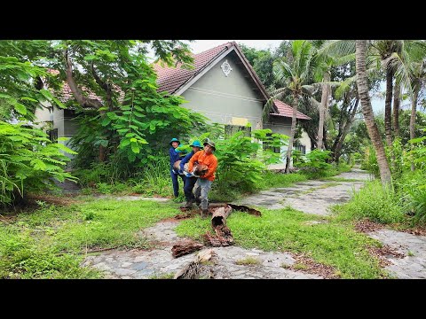 Vom Dschungel zum Paradies – Die schockierende Verwandlung einer Millionen-Dollar-Villa