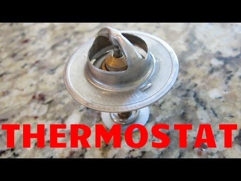 1994-2004 MUSTANG GT THERMOSTAT Replacement Done Easy!
