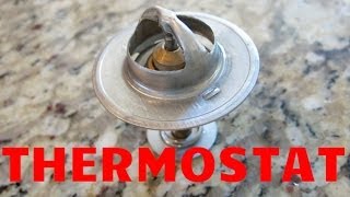 1994-2004 MUSTANG GT THERMOSTAT Replacement Done Easy!
