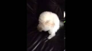 Micky excited to see Daddy home