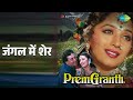 जंगल में शेर Prem Granth Alka Yagnik Vinod Rathod Songs Madhuri Dixit Om Puri