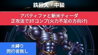 【FFBE】十二種族『鉄巨人・中級』正攻法で3Tコンプ！(火力不足の方や上級のご参考に)自前5人！同行者なし！