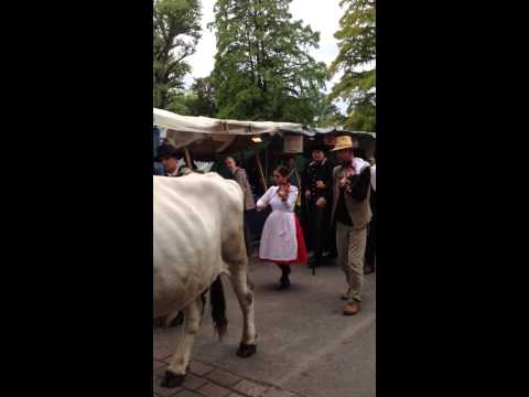 Traditional Hungarian Folk Song