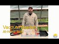 Vacuum Seeder At Home Build