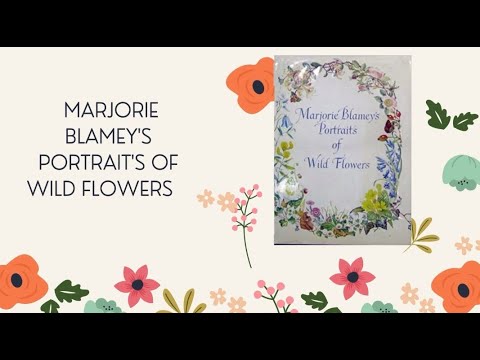 MARJORIE BLAMEY'S PORTRAIT'S OF WILD FLOWERS by Marjorie Blamey (Author, Illustrator)