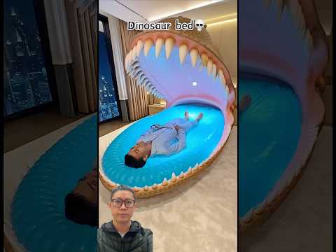 Giường khủng long của ông anh #trendingshorts #trendingvideo #shorts #shortsviral #viralshorts