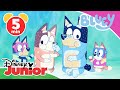 Bluey Clip Eine Spezialaufgabe Für Dad Disney Junior