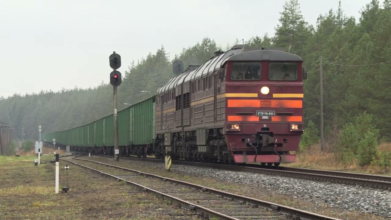 Тепловоз 2ТЭ116-933 на ст. Пиуза / 2TE116-933 at Piusa station