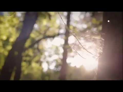 Kud puklo da puklo - Uvodna špica #2 (O2 TV)