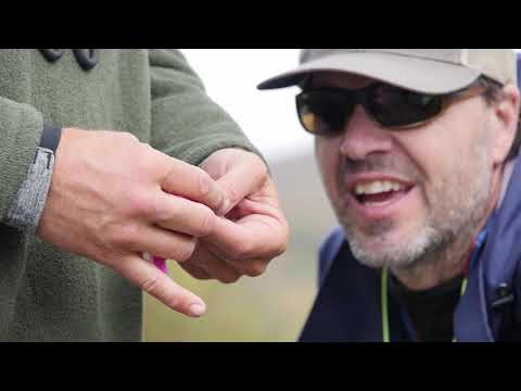 How To Make An Award Winning Film Tour Film Trailer!