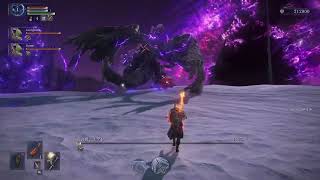 エデレ戦_レベル1縛りマルチプレイ攻略 ELDEN RING NIGHTREIGN