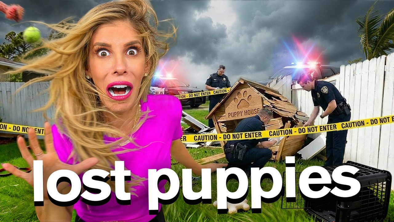 Who Stole My Puppies?