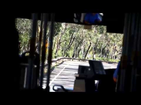 Forest Coach Lines (Terrey Hills) Volvo B12BLE Euro 3 / Custom Coaches CB60, m/o 4456 - Part 5/5