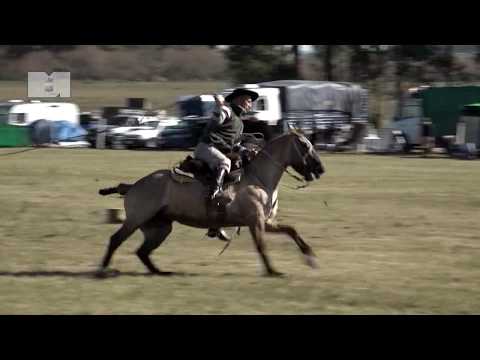 5º Festival Criollo Los Talas 2017
