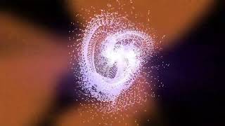 Animal Collective - Did You See The Words?