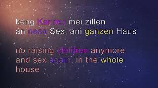 Learn Luxembourgish with Songs (lux/engl. subs) - Wann d'Cannabis grouss sinn - Serge Tonnar