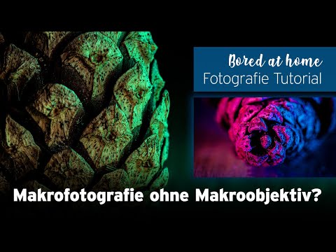 #61 Tannenzapfen im Makro fotografieren ohne Makroobjektiv