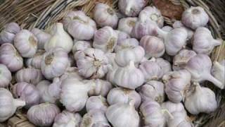 PINO DANIELE SAGLIE,SAGLIE