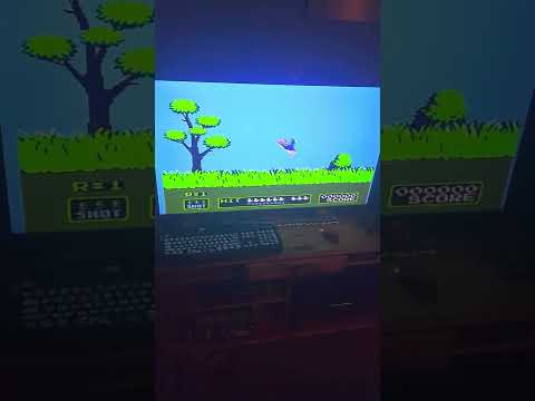 NES IN LED - DUCK HUNT
