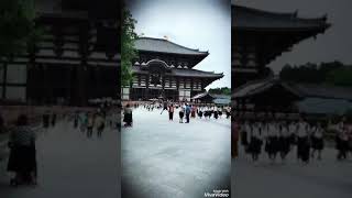 preview picture of video 'Japan trip Nara sightseeing'
