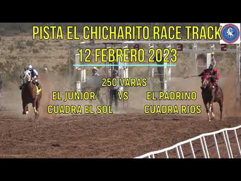 EL JUNIOR vs EL PADRINO (Pista El Chicharito Race Track)