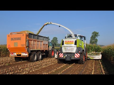 Claas Jaguar 960 - Loonw. Willem Claeys - mais 2014