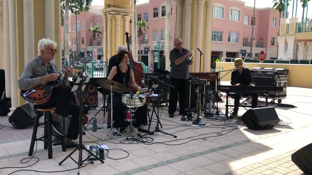 Promotional video thumbnail 2 for Sunnyside Swing