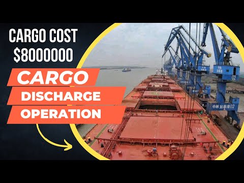 CARGO Discharging Operation of a MEGASHIP | Discharging Iron Ore | Horizon Tales