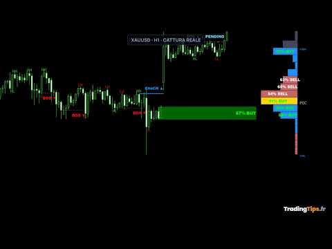 Video SMC Trade Pilot MT5