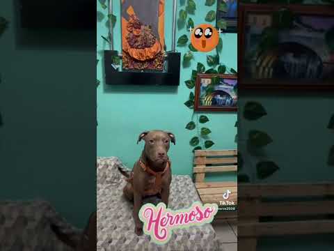 Marichu chuyito vero