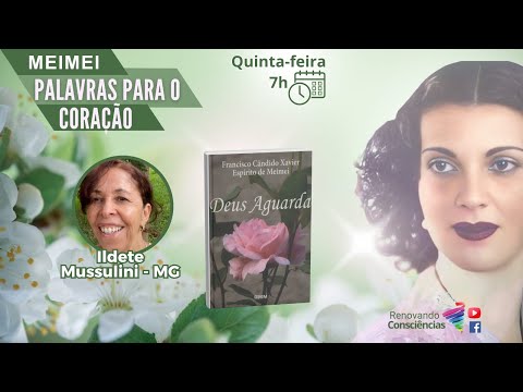 PALAVRAS PARA O CORAÇÃO - MEIMEI: LIVRO DEUS AGUARDA COM ILDETE MUSSULINI (MG)