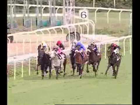 Premio Presidente Della Repubblica 2010 (GR 1)