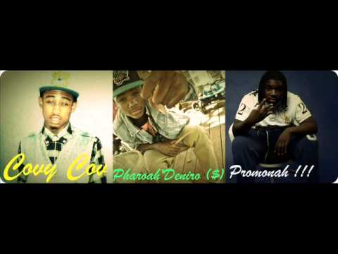 ReekRoyal- (Tiger Blood Freestyle) Ft. Pharoah Deniro x Promonah