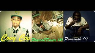 ReekRoyal- (Tiger Blood Freestyle) Ft. Pharoah Deniro x Promonah