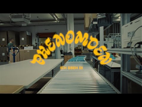 PHENOMDEN - Ich gseh di (official video)
