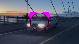 Amispoppia - Naparengas