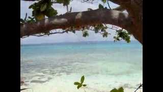 preview picture of video 'Isola di MALAPASCUA ( Filippine ) - 9/2007'
