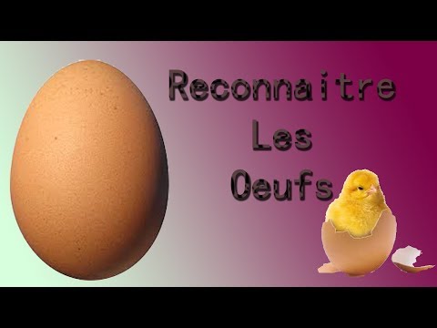 comment construire un mire oeuf