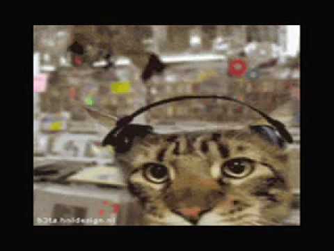 les maledictus sound - am stram gram.wmv