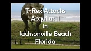 preview picture of video 'Boring day, nothing happening in Jacksonville Beach, Florida by WolfieRed1'