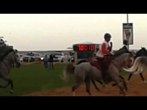 Crown Princ Cup start