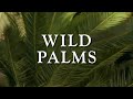 Classic TV Theme: Wild Palms (Full Stereo)