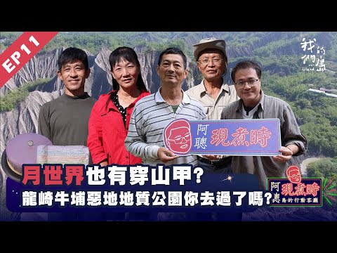 月世界也有穿山甲？龍崎牛埔惡地地質公園你去過了嗎？#阿聰現煮時 島的行動客廳