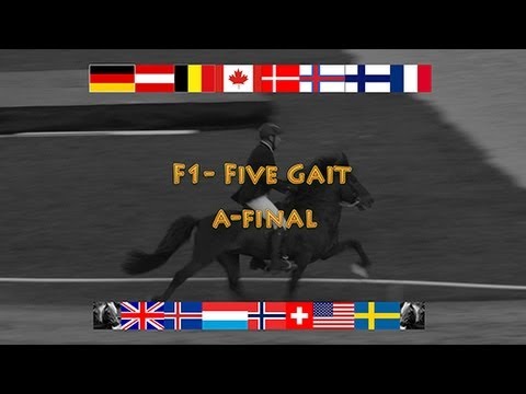F1 Five Gait A-Final, WC Icelandic Horses, Islandpferde WM, VM Islandshästar,  2013,
