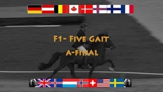 F1 Five Gait A-Final, WC Icelandic Horses, Islandpferde WM, VM Islandshästar,  2013,