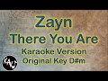 Zayn - There You Are Karaoke Instrumental Lyrics Cover Original Key D#