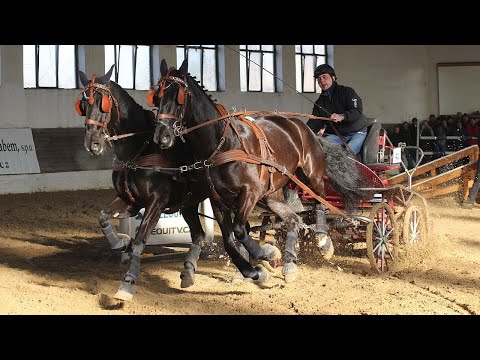 ŽIVĚ 🔴 | spřežení Zimní jezdecký pohár 2022, Slatiňany – sobota 12. 2. 2022