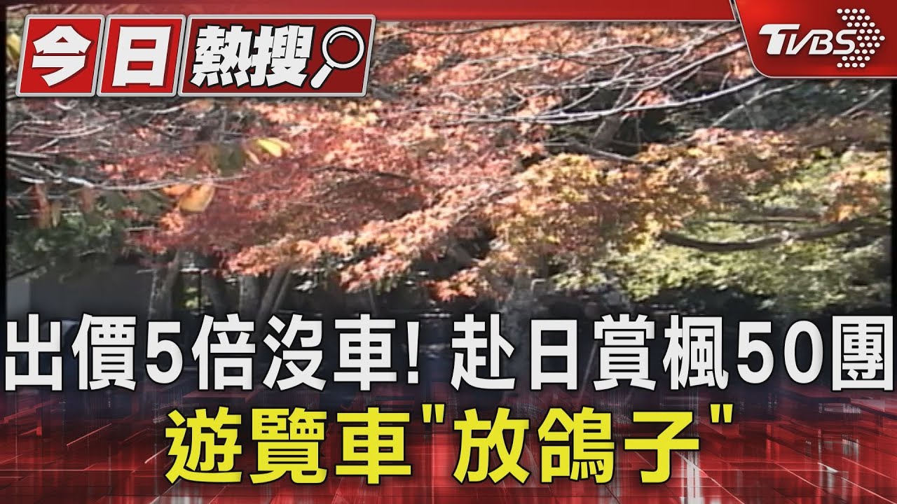 出價5倍沒車！赴日賞楓50團　遊覽車「放鴿子」