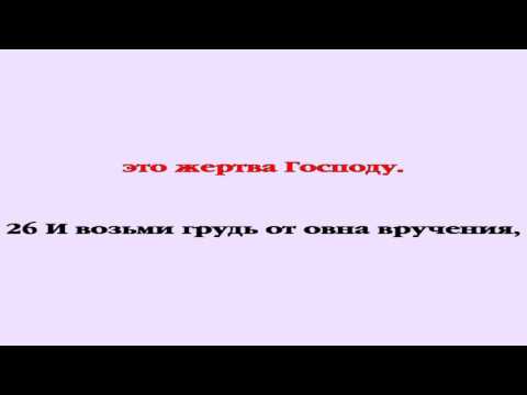 Видеобиблия. Исход. Глава 29